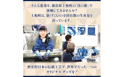 藍染体験チケット 一般社団法人ジャパンブルー上板《30日以内出荷予定(土日祝除く)》徳島県 上板町 藍染 藍染め 体験 技の館 予約 st-p