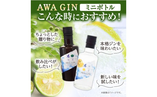 AWA GINお試しミニボトルセット(200ml ×2本) 日新酒類株式会社 《30日以内出荷予定(土日祝除く)》お酒 酒 ジン アルコール ギフト プレゼント 送料無料 徳島県 上板町 st-p