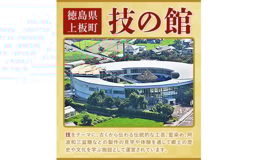藍染体験チケット 一般社団法人ジャパンブルー上板《30日以内出荷予定(土日祝除く)》徳島県 上板町 藍染 藍染め 体験 技の館 予約 st-p