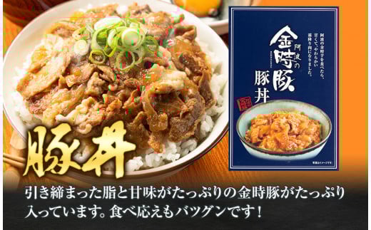 【出回らないからこそ価値がある！】阿波の金時豚 レトルト 4種 セット アグリガーデン 《30日以内に出荷予定(土日祝除く)》徳島県 上板町 豚肉 肉 カレー ミートソース 豚汁 豚丼 送料無料 st-p k-7