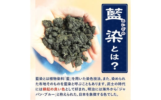 藍染体験チケット 一般社団法人ジャパンブルー上板《30日以内出荷予定(土日祝除く)》徳島県 上板町 藍染 藍染め 体験 技の館 予約 st-p