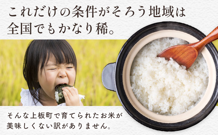 繧ゅ■繧ゅ■鄒主袖縺励>シ 縺九″縺倥<縺ョ縺翫☆縺昴o縺醍アウ 辟。豢礼アウ 5kg 縲1譛井クュ譌ャ-2譛域忰鬆蜃コ闕キ縲句セウ蟲カ逵 荳頑攸逕コ 縺顔アウ 邀ウ 逋ス邀ウ