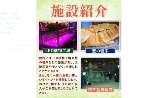 藍染体験チケット 一般社団法人ジャパンブルー上板《30日以内出荷予定(土日祝除く)》徳島県 上板町 藍染 藍染め 体験 技の館 予約 st-p