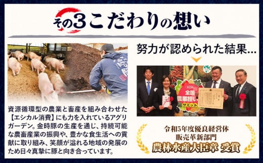 【出回らないからこそ価値がある！】阿波の金時豚 4種 1.92kg 詰合せ セット アグリガーデン 《30日以内に出荷予定(土日祝除く)》徳島県 上板町 豚肉 肉 ロース 豚バラ スライス 切り落とし 送料無料 st-p k-8