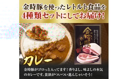 【出回らないからこそ価値がある！】阿波の金時豚 レトルト 4種 セット アグリガーデン 《30日以内に出荷予定(土日祝除く)》徳島県 上板町 豚肉 肉 カレー ミートソース 豚汁 豚丼 送料無料 st-p k-7