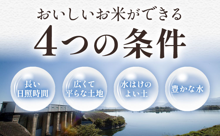 ＼7~14営業日以内に発送／ もちもち美味しい！ 徳島ふるさと実り米 精米 15kg 徳島県 上板町 お米 米 白米