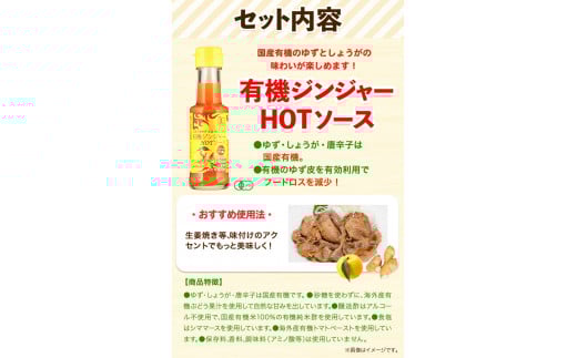 有機HOTソース+調味料セット 5種セット 計6個 光食品株式会社《30日以内出荷予定(土日祝除く)》徳島県 上板町 ケチャップ ピザソース ドレッシング ポン酢 しょうゆ ホットソース HOTソース k-9
