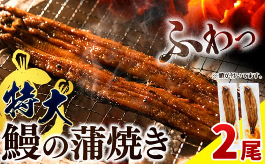 うなぎ 国産 鰻の蒲焼 1尾あたり約175g以上 × 2尾 特大サイズ 湯煎調理 [30日以内に出荷予定(土日祝除く))]| うなぎ 蒲焼 国産 うなぎ 小分け うなぎ 国産 うなぎ 父の日 うなぎ 母の日ギフト うなぎ 簡易包装 送料無料 徳島県 上板町