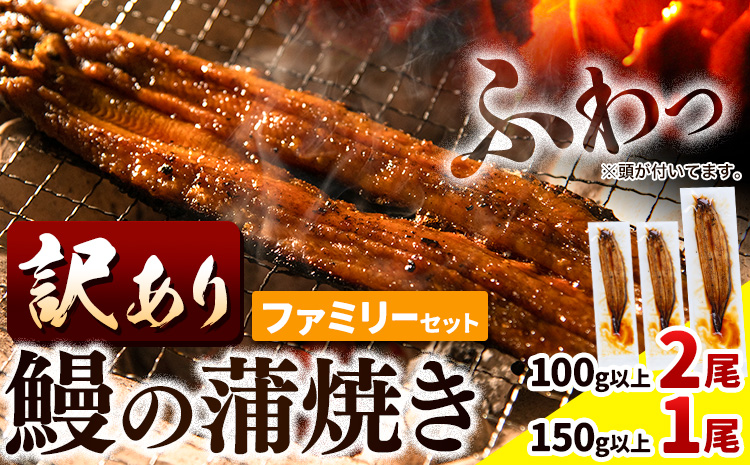 うなぎ 国産  訳あり 鰻の蒲焼き 100g以上 2尾 150g以上 1尾 《30営業日以内に出荷(土日祝除く)》│ うなぎ 蒲焼 国産 うなぎ 小分け うなぎ 国産 うなぎ 父の日 うなぎ 母の日ギフト うなぎ 訳あり うなぎ わけあり サイズ不揃い 1尾100g以上 簡易包装 送料無料 徳島県 上板町