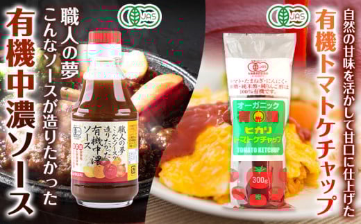 有機 調味料セット B 6種 光食品 株式会社 《30日以内出荷予定(土日祝除く)》無添加 調味料 バラエティーセット 中農ソース とんかつソース ケチャップ ドレッシング ノンオイル 無農薬栽培 徳島県 上板町 st-p