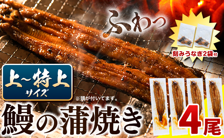うなぎ 国産 鰻の蒲焼 4尾 + きざみうなぎ 30g×2袋 上〜特上サイズ[30営業日以内に出荷(土日祝除く)]| うなぎ 蒲焼 国産 うなぎ 小分け うなぎ 国産 うなぎ 父の日 うなぎ 母の日ギフト うなぎ 簡易包装 送料無料 徳島県 上板町