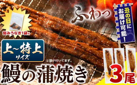 【 土用の丑の日予約受付中！ 】 うなぎ 国産 鰻の蒲焼 3尾 + きざみうなぎ 30g×1袋 上〜特上サイズ 《7月中旬-7月下旬頃出荷》| うなぎ 蒲焼 国産 うなぎ 小分け うなぎ 国産 うなぎ 父の日 うなぎ 母の日ギフト うなぎ 簡易包装 送料無料 徳島県 上板町