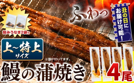 【 土用の丑の日予約受付中！ 】うなぎ 国産 鰻の蒲焼 4尾 + きざみうなぎ 30g×2袋 上〜特上サイズ《7月中旬-7月下旬頃出荷》| うなぎ 蒲焼 国産 うなぎ 小分け うなぎ 国産 うなぎ 父の日 うなぎ 母の日ギフト うなぎ 簡易包装 送料無料 徳島県 上板町