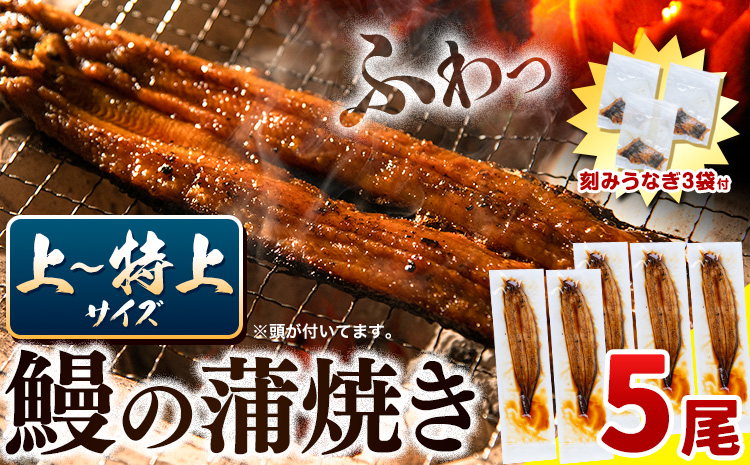 うなぎ 国産 鰻の蒲焼 5尾 ＋ きざみうなぎ 30g×3袋 上〜特上サイズ《30営業日以内に出荷(土日祝除く)》| うなぎ 蒲焼 国産 うなぎ 小分け うなぎ 国産 うなぎ 父の日 うなぎ 母の日ギフト うなぎ 簡易包装 送料無料 徳島県 上板町