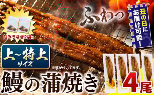 〈スピード出荷〉うなぎ 国産 鰻の蒲焼 4尾 + きざみうなぎ 30g×2袋 上〜特上サイズ《3-7営業日以内に出荷(土日祝除く)》| うなぎ 蒲焼 国産 うなぎ 小分け うなぎ 国産 うなぎ 父の日 うなぎ 母の日ギフト うなぎ 簡易包装 送料無料 徳島県 上板町