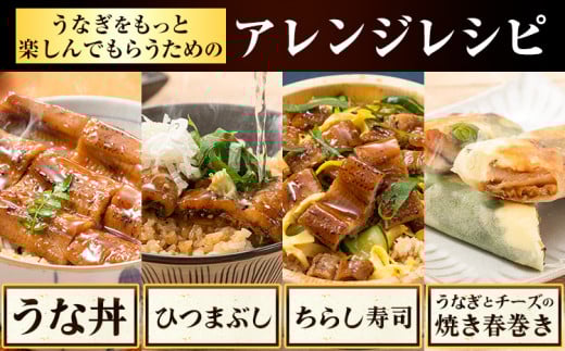 うなぎ 国産 鰻の蒲焼 3尾 ＋ きざみうなぎ 30g×1袋 上〜特上サイズ《30日以内に出荷(土日祝除く)》| うなぎ 蒲焼 国産 うなぎ 小分け うなぎ 国産 うなぎ 父の日 うなぎ 母の日ギフト うなぎ 簡易包装 送料無料 徳島県 上板町