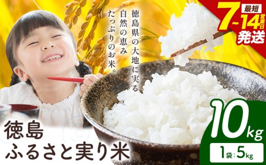 ＼7~14営業日以内に発送／ もちもち美味しい！ 徳島ふるさと実り米 精米 10kg 徳島県 上板町 お米 米 白米 米 10kg
