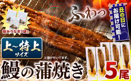〈スピード出荷〉うなぎ 国産 鰻の蒲焼 5尾 ＋ きざみうなぎ 30g×3袋 上〜特上サイズ《3-7営業日以内に出荷(土日祝除く)》| うなぎ 蒲焼 国産 うなぎ 小分け うなぎ 国産 うなぎ 父の日 うなぎ 母の日ギフト うなぎ 簡易包装 送料無料 徳島県 上板町