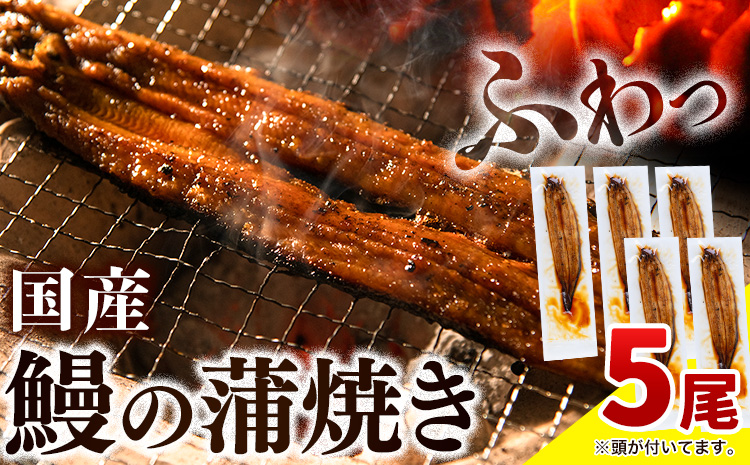 うなぎ 国産 訳あり 鰻の蒲焼 5尾 155g以下 《3-7営業日出荷》│ うなぎ 蒲焼 国産 うなぎ 小分け うなぎ 国産 うなぎ 父の日 うなぎ 母の日ギフト うなぎ 訳あり うなぎ わけあり サイズ不揃い 1尾100g以上 簡易包装 送料無料 徳島県 上板町