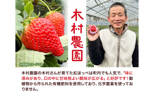粒の大きさにびっくり！ 紅ほっぺ 0.5kg (9~12粒) 木村農園《2026年1月上旬-3月中旬頃出荷》いちご 苺 イチゴ 果物 フルーツ 送料無料 徳島県 上板町 st-p
