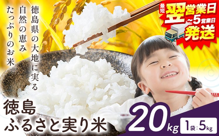 【最短翌営業日発送】 もちもち美味しい！ 徳島ふるさと実り米 精米 20kg 徳島県 上板町 お米 米 白米