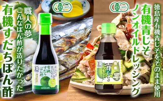 有機 調味料セット B 6種 光食品 株式会社 《30日以内出荷予定(土日祝除く)》無添加 調味料 バラエティーセット 中農ソース とんかつソース ケチャップ ドレッシング ノンオイル 無農薬栽培 徳島県 上板町 st-p