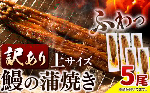 【 スピード出荷 ！ 】 うなぎ 訳あり 鰻の蒲焼 5尾 《3-7営業日以内に出荷(土日祝除く)》│ うなぎ 蒲焼 国産 うなぎ 小分け うなぎ 国産 うなぎ 父の日 うなぎ 母の日ギフト うなぎ 訳あり うなぎ わけあり サイズ不揃い 1尾100g以上 簡易包装 送料無料 徳島県 上板町