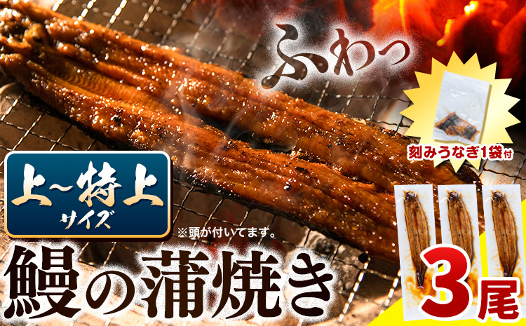 うなぎ 国産 鰻の蒲焼 3尾 + きざみうなぎ 30g×1袋 上〜特上サイズ[30日以内に出荷(土日祝除く)]| うなぎ 蒲焼 国産 うなぎ 小分け うなぎ 国産 うなぎ 父の日 うなぎ 母の日ギフト うなぎ 簡易包装 送料無料 徳島県 上板町