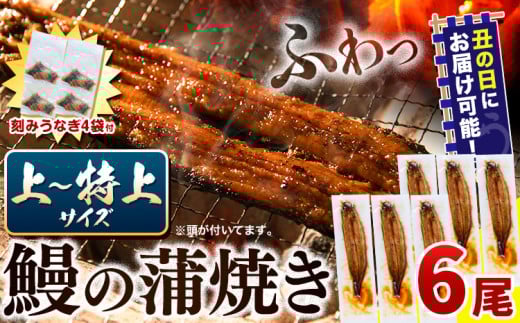 〈スピード出荷〉 うなぎ 国産 鰻の蒲焼 6尾 ＋ きざみうなぎ 30g×4袋 上〜特上サイズ《3-7営業日以内に出荷(土日祝除く)》| うなぎ 蒲焼 国産 うなぎ 小分け うなぎ 国産 うなぎ 父の日 うなぎ 母の日ギフト うなぎ 簡易包装 送料無料 徳島県 上板町
