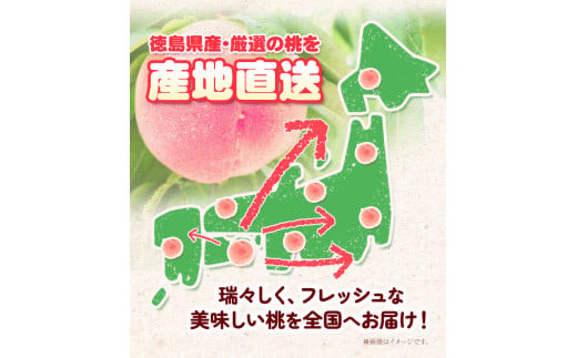 ã¢ã¢ 2kg ã€ãã蟲å ã6æäžæ¬â7æäžæ¬åºè·ãæ¡ ãã æç© ãã«ãŒã ã¯ãªãã æ¥å·çœé³³ ããã€ã ã°ã¬ãŒããžã£ã³ãããã€ã æž
æ°Žçœé³³ å±±æ ¹ ã€ãã蟲å 埳島ç äžæ¿çº ãé
éäžå¯å°åããã