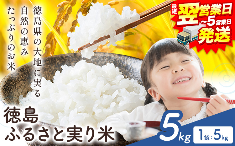【最短翌営業日発送】もちもち美味しい！ 徳島ふるさと実り米 精米 5kg 徳島県 上板町 お米 米 白米