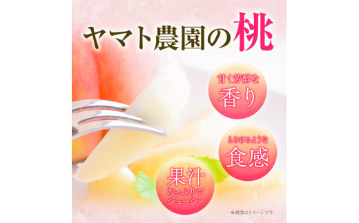 モモ もも 4kg ヤマト農園 《6月下旬‐7月下旬出荷》桃 もも 果物 フルーツ はなよめ 日川白鳳 あかつき グレートジャンボあかつき 清水白鳳 山根 ヤマト農園 徳島県 上板町 【配送不可地域あり】