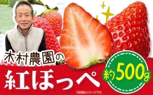 粒の大きさにびっくり！ 紅ほっぺ 0.5kg (9~12粒) 木村農園《2026年1月上旬-3月中旬頃出荷》いちご 苺 イチゴ 果物 フルーツ 送料無料 徳島県 上板町 st-p