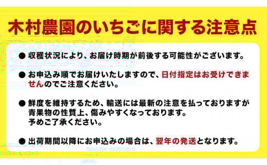 粒の大きさにびっくり！ 紅ほっぺ 0.5kg (9~12粒) 木村農園《2026年1月上旬-3月中旬頃出荷》いちご 苺 イチゴ 果物 フルーツ 送料無料 徳島県 上板町 st-p