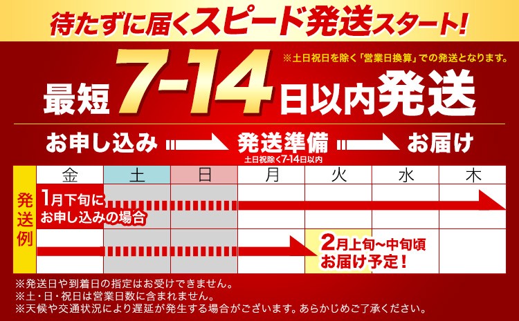 シシ7~14蝟カ讌ュ譌・莉・蜀縺ォ逋コ騾シ 繧ゅ■繧ゅ■鄒主袖縺励>シ 縺九″縺倥<縺ョ縺翫☆縺昴o縺醍アウ 邊セ邀ウ 20kg 蠕ウ蟲カ逵 荳頑攸逕コ 縺顔アウ 邀ウ 逋ス