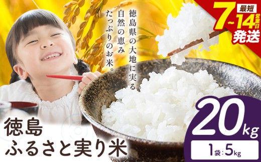 ＼7~14営業日以内に発送／ もちもち美味しい！ 徳島ふるさと実り米 精米 20kg 徳島県 上板町 お米 米 白米