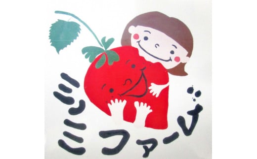 いちご さちのか おいしさを研究したいちご「さちのか」約1kg 登録商標：MINOMI STRAWBERRY（2026年1月中旬頃‐2026年4月下旬頃出荷）徳島県 上板町 いちご st-p