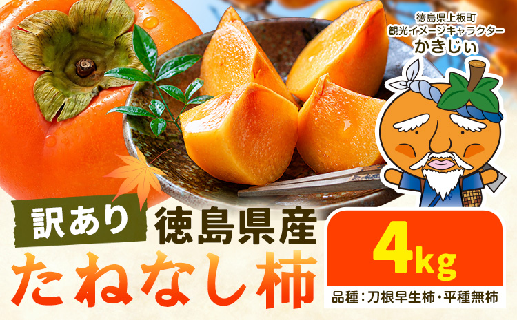 柿 果物 訳あり たねなし柿 4kg 《2026年9月末から10月末出荷予定》 旬 送料無料 徳島県 上板町 フルーツ かき カキ くだもの 刀根早生柿 平種無柿