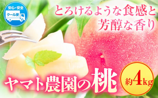 モモ もも 4kg ヤマト農園 《6月下旬‐7月下旬出荷》桃 もも 果物 フルーツ はなよめ 日川白鳳 あかつき グレートジャンボあかつき 清水白鳳 山根 ヤマト農園 徳島県 上板町 【配送不可地域あり】