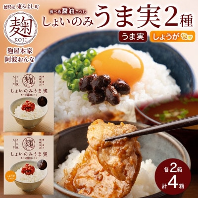 しょいのみ 2種セット うま実 しょうが味 各2箱 計4箱 発酵食品 徳島県 東みよし町【1740194】