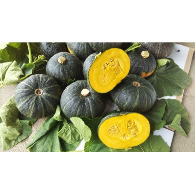 農家人が選んでお届けする「にし阿波の旬野菜詰合せ」　4〜5品【配送不可地域：離島】【1432165】