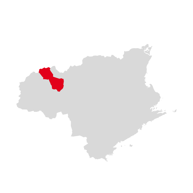 徳島県東みよし町