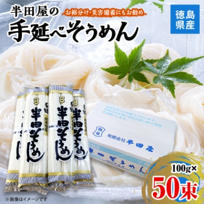 【5.0kg】半田屋の手延べそうめん　100g×50束　お裾分け・災害備蓄にもお勧め【1511552】