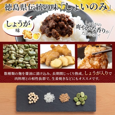しょいのみ うま実 しょうが味 55g×4箱 醤油の実 調味料 おかず 発酵食品 徳島県 東みよし町【1740193】