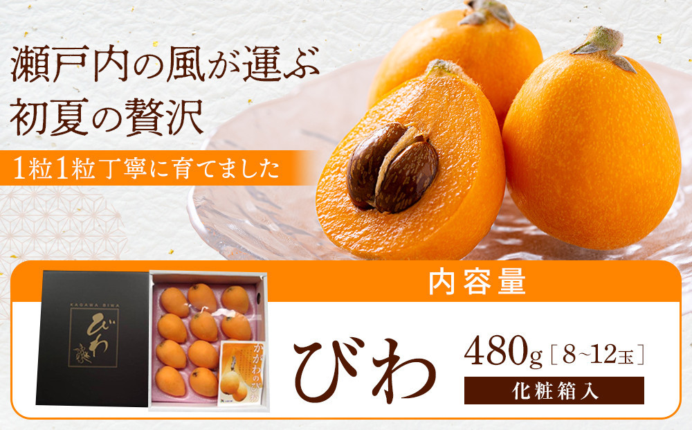 ãæ°ééå®ãã³ãã480ïœåç²§ç®±ã8çïœ12ç