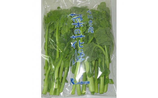 旬の野菜 菜の花 (袋入り) 約2kg【2024年12月上旬～2025年3月下旬配送】
