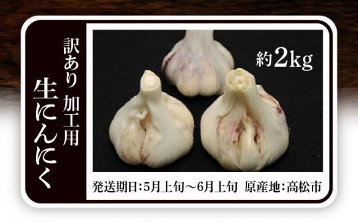 加工用 訳あり 生にんにく 約2kg【2025-5月上旬～2025-6月上旬配送】