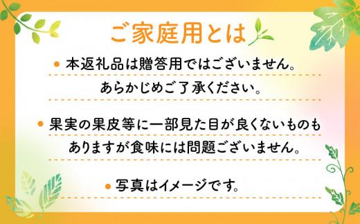 ＼寄附額改定／【訳あり 】待望の新品種みかん　西南のひかり　ご家庭用　約3kg【2024-12月上旬～2025-1月上旬配送】