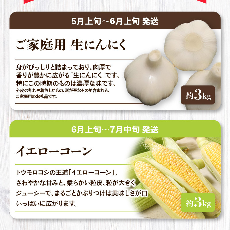 「香川県オリジナル品種さぬきのめざめ」と旬の野菜 定期便P