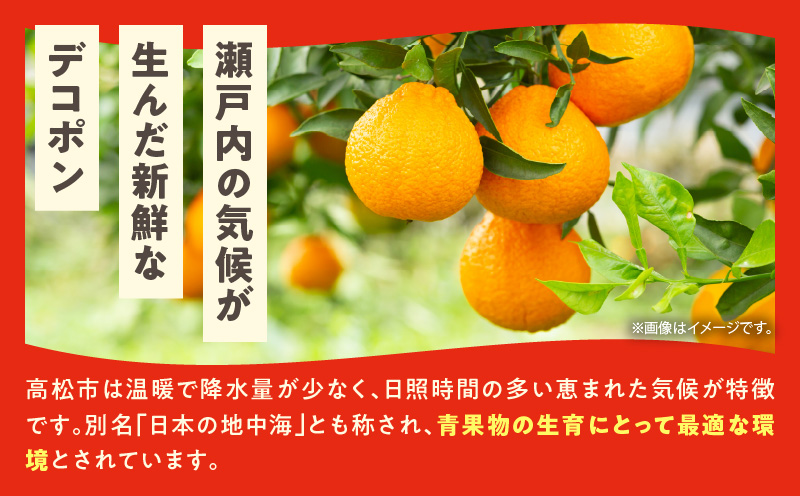 高松産季節の果物＜ハウスデコポン＞約2.8kg【2024年12月中旬〜2025年3月中旬配送】
